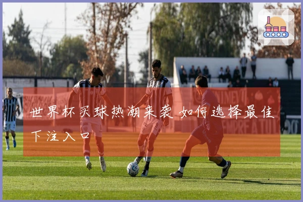 世界杯买球热潮来袭 如何选择最佳下注入口