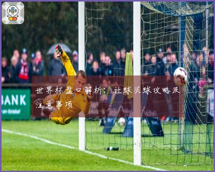世界杯盘口解析：让球买球攻略及注意事项
