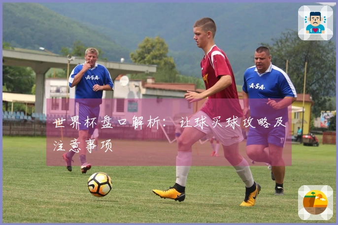 世界杯盘口解析：让球买球攻略及注意事项