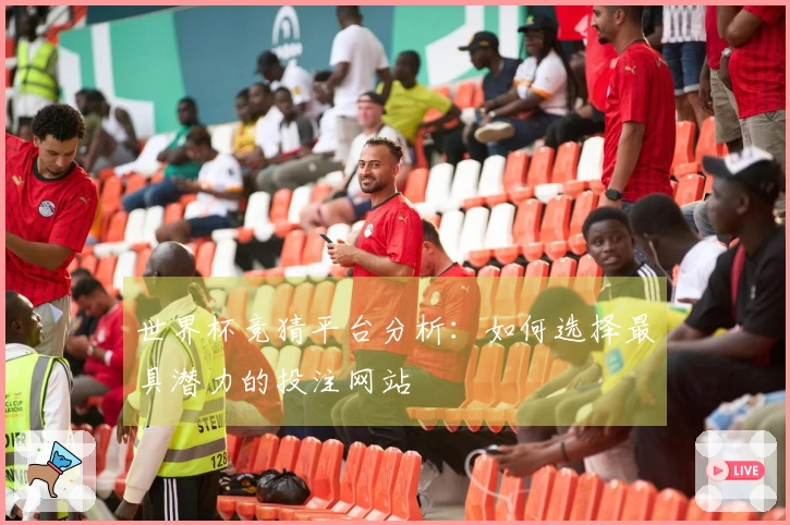 世界杯竞猜平台分析：如何选择最具潜力的投注网站