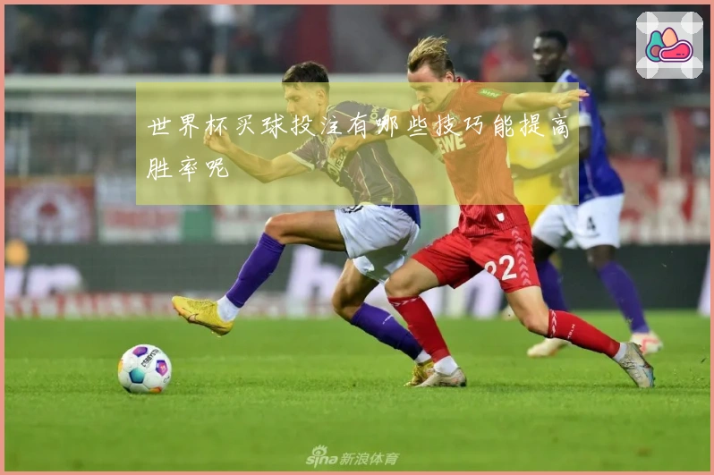 世界杯买球投注有哪些技巧能提高胜率呢